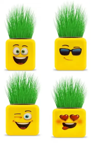 Çimoji 4 Figürlü Emoji Küp Çim Adam  