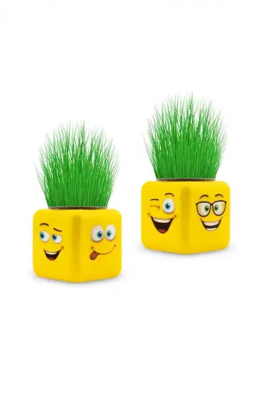 Çimoji 4 Figürlü Emoji Küp Çim Adam  
