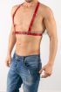  41 Deri Erkek İç Giyim, Gay Fantazi Giyim Modelleri - Ürün Rengi:Kırmızı