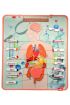  247 İç Organlar Sistemi Keçe Duvar Panosu , Eğitici Oyuncak