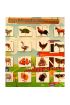  247 Parça Bütün Eşleştirme - Evcil Hayvanlar Keçe Cırtlı Duvar Panosu , Eğitici Oyuncak