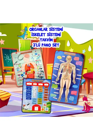  247 3 Set -106 Parça  İç Organlar , İskelet  Sistemi ve Takvimi Öğreniyorum Keçe Cırtlı Duvar Panoları , Eğitici Oyu