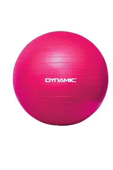  193 DYNAMIC GYMBALL - 65cm