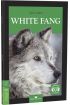  404 Stage-3 White Fang - İngilizce Hikaye