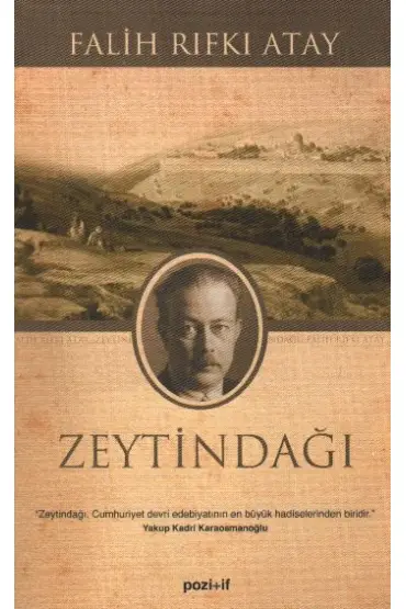  Zeytindağı