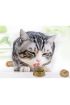  192 Kedi Nanesi Cat Mint Oyun Topu