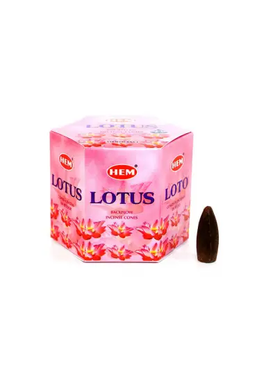  192 Lotus Back Flow Cones