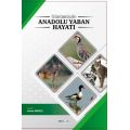 Günümüzde Anadolu Yaban Hayatı