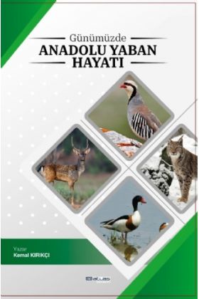 Günümüzde Anadolu Yaban Hayatı