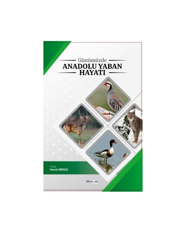Günümüzde Anadolu Yaban Hayatı