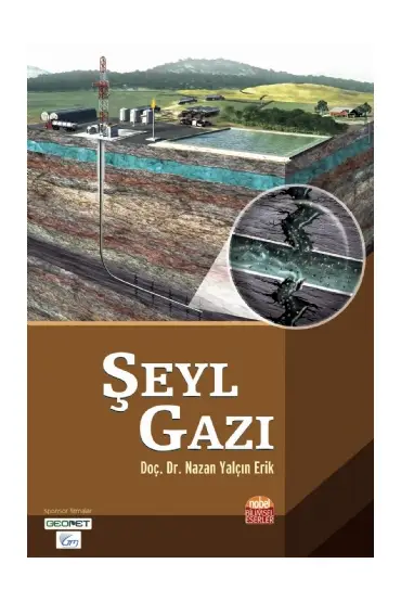 Şeyl Gazı