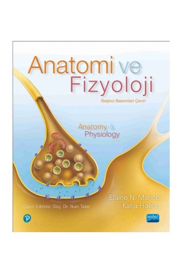 ANATOMİ VE FİZYOLOJİ - Anatomy & Physiology