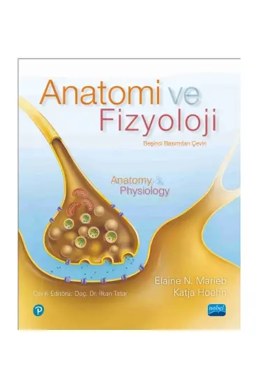 ANATOMİ VE FİZYOLOJİ - Anatomy & Physiology