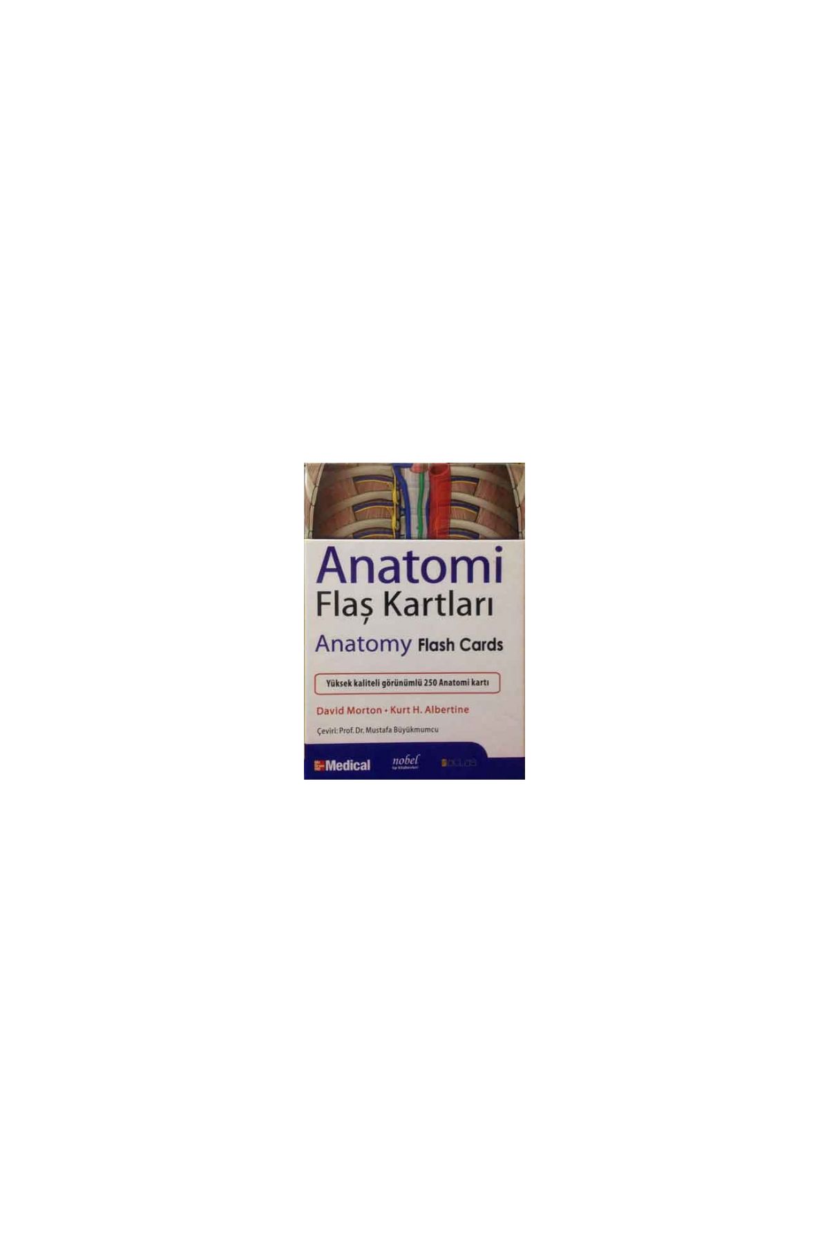 MORTON İNSAN ANATOMİSİ FLASH KARTLARI - Atlas Of Human Flash Cards