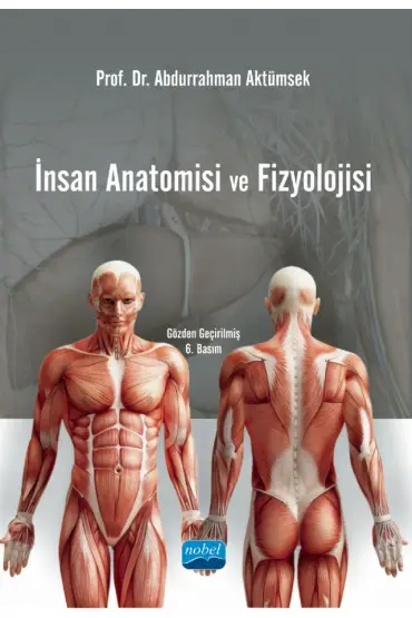 İnsan Anatomisi ve Fizyolojisi