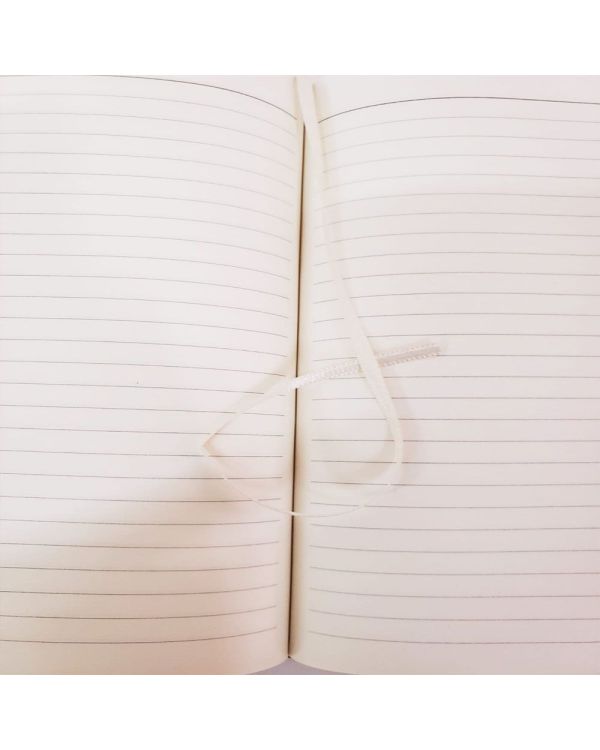 Hediyelik Metal Kalem Ve çizgili Deri Defter