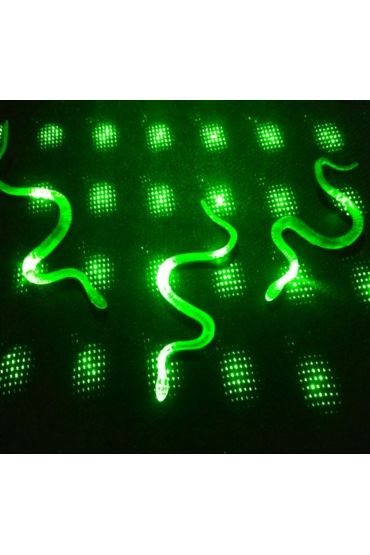 Şaka Yılan ve Kırkayak Karışık 36 Adet