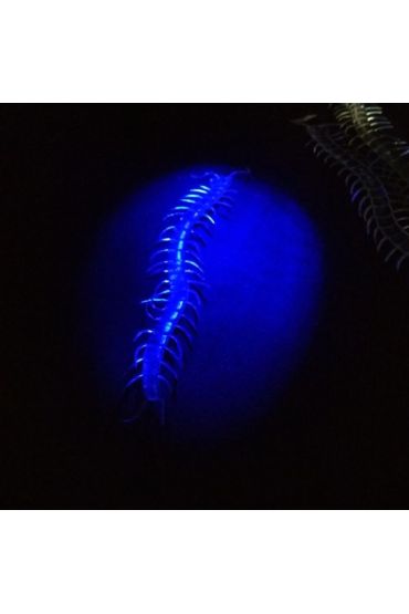 Şaka Yılan ve Kırkayak Karışık 36 Adet