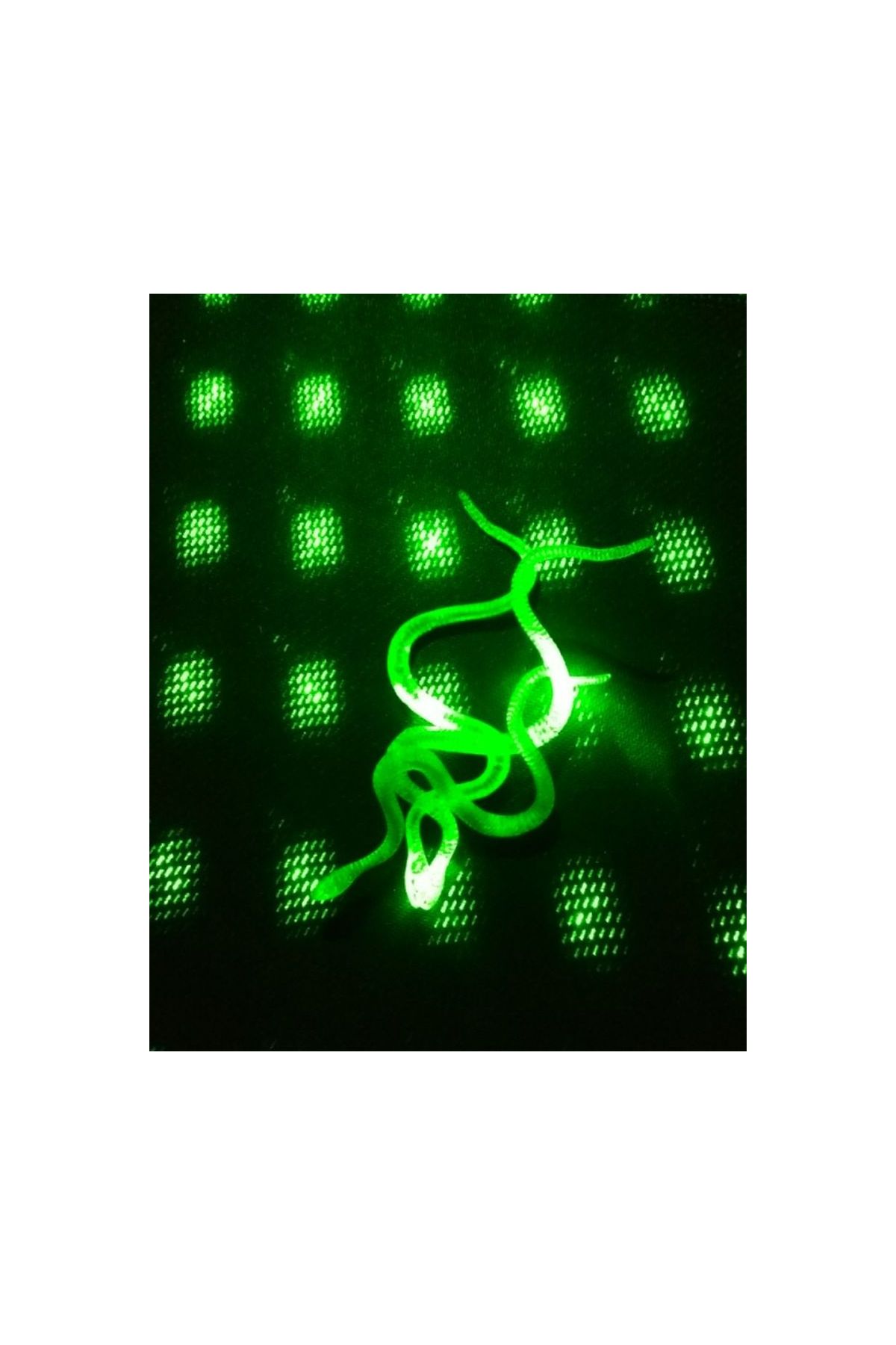 Şaka Yılan ve Kırkayak Karışık 36 Adet