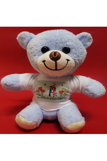 Tişörtlü Mavi Ayı