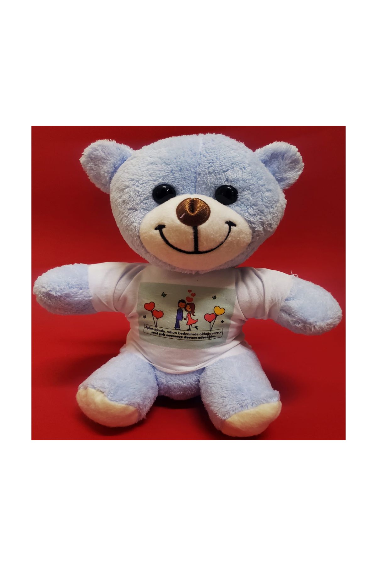 Tişörtlü Mavi Ayı