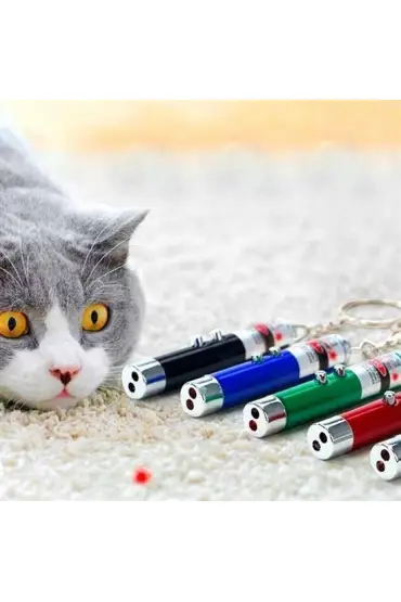  Kedi Oyuncağı Lazer 3’in1