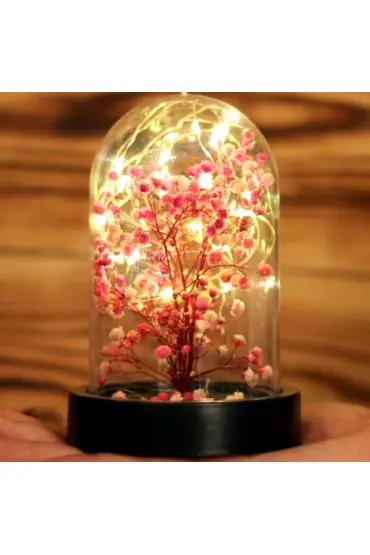  Led Işıklı Mini Ağaç Fanus Teraryum 4