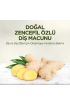 193  Doğal Diş Macunu 90gr Zencefil Özlü