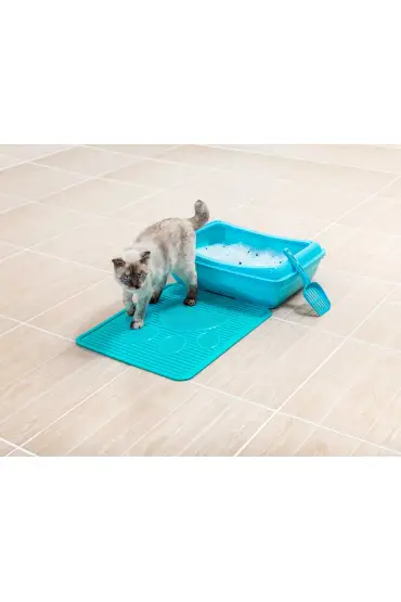 Kedi Tuvalet Paspası Mavi