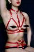  41 Ağ Kısmı Açık Fantezi Deri Külot ve Göğüs Harness Set - Ürün Rengi:Kırmızı