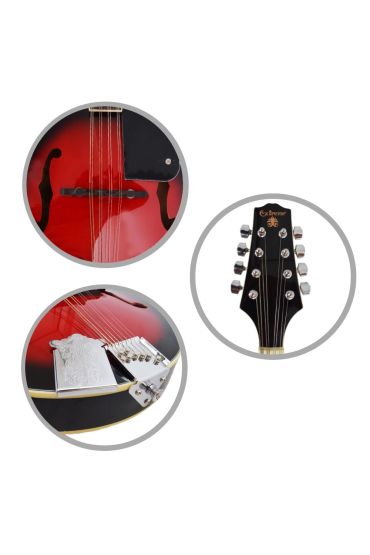 MANDOLİN PROFESYONEL EXTREME (XM60RD)