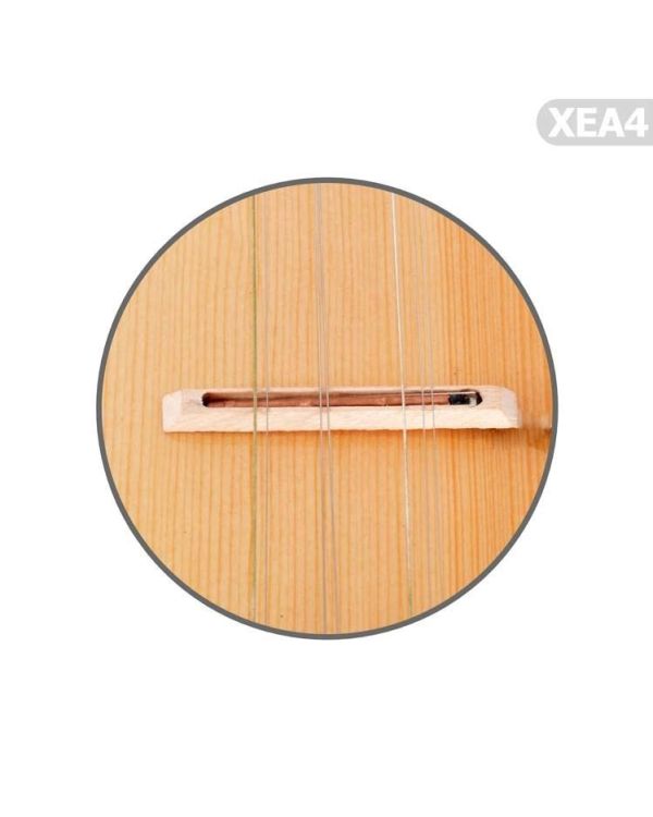 Profesyonel Bağlama Eşikaltı Manyetik Extreme XEA4