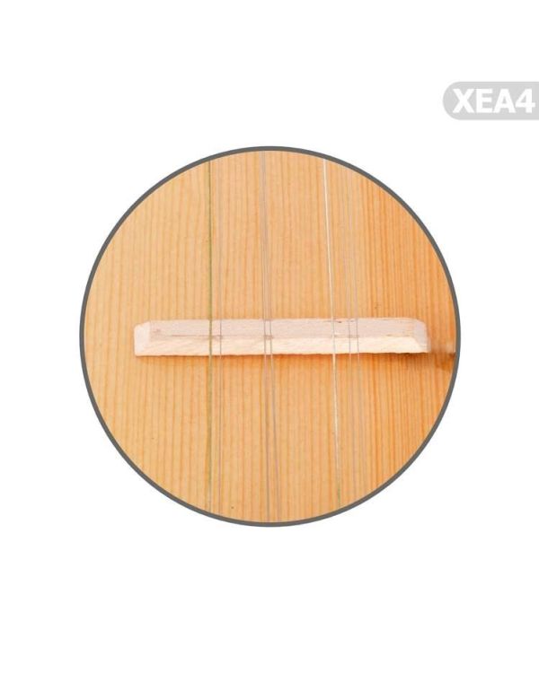 Profesyonel Bağlama Eşikaltı Manyetik Extreme XEA4