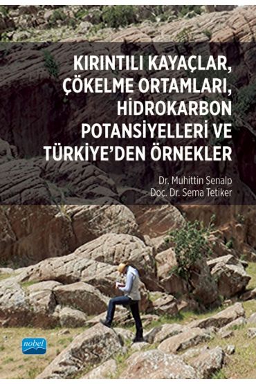 Kırıntılı Kayaçlar, Çökelme Ortamları, Hidrokarbon Potansiyelleri ve Türkiye’den Örnekler