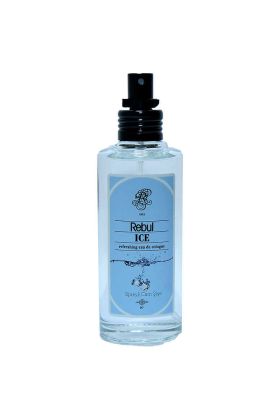  214 Ice Kolonya 80 Derece Cam Şişe Sprey 100 ML