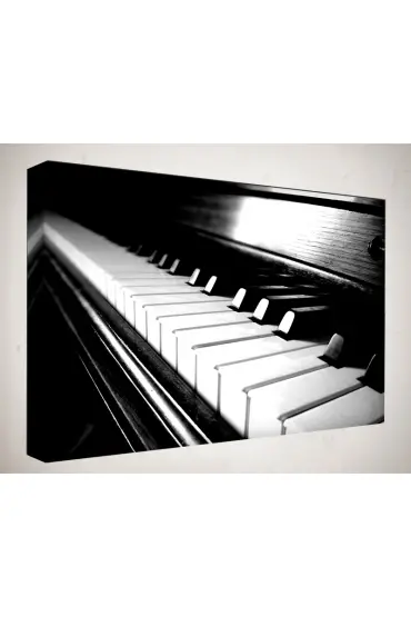 Kanvas Tablo  - Dans Tabloları Piyano - DN48