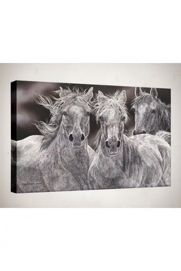 Kanvas Tablo - Hayvan Tabloları - Atlar HY11