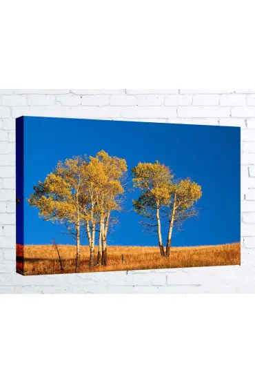 Kanvas Tablo - Ağaç- AGC010