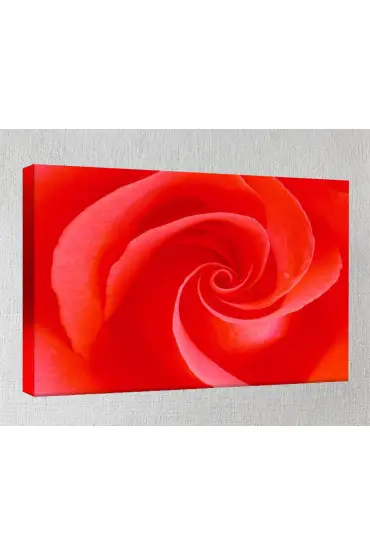 Kanvas Tablo - Çiçek Resimleri  - Kırmızı Gül C319