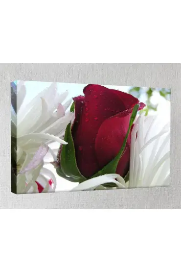 Kanvas Tablo - Çiçek Resimleri  - C189