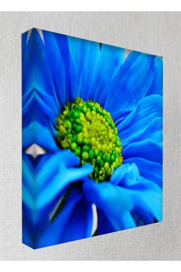 Kanvas Tablo - Çiçek Resimleri  - Mavi Çiçek  C157