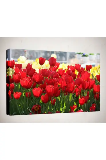 Kanvas Tablo - Çiçek Resimleri  - Kırmızı Çiçekler C43