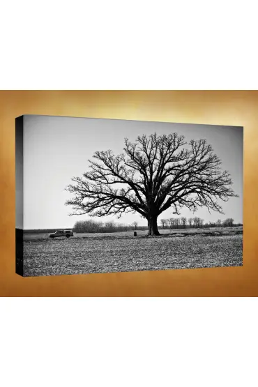 Kanvas Tablo - Yağlı Boya Resimleri - Ağaç YDR15
