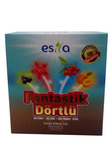  214 Fantastik Dörtlü Bitkisel Yaz Çayı 45 Süzen Poşet