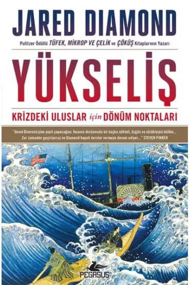 Yükseliş: Krizdeki Uluslar İçin Dönüm Noktaları - Ciltsiz