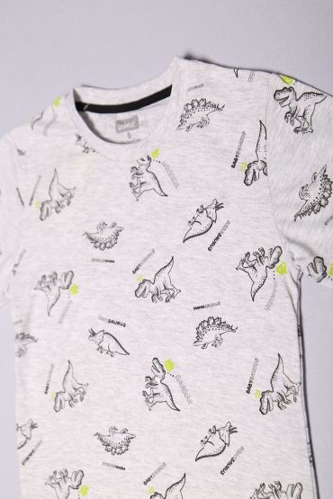  275 8-12 Yaş Çocuk Tişört Gri