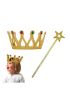 Çocuk Boy Kraliçe Prenses Tacı ve Yıldız Peri Asası Altın Renk  ( )