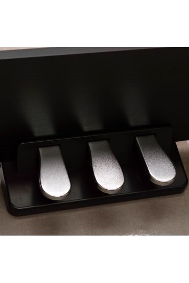 Dijital (Silent) Piyano Siyah Manuel Raymond MRP788BK2