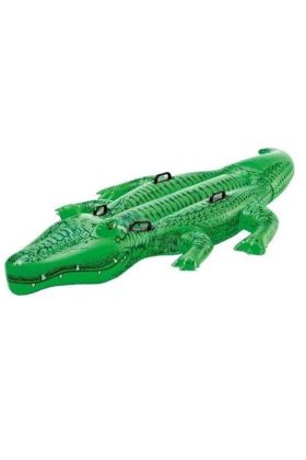  505  - İNTEX TİMSAH 203 CM