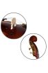 Kontrbas El Yapımı Profesyonel El Cilalı 4/4 DDB44-P1 - Stringed Musical Instruments - Cosmedrome